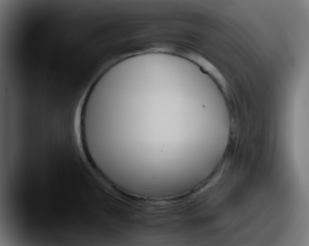 X0000087541431200705181040