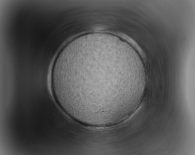 X0000087541432200705181040