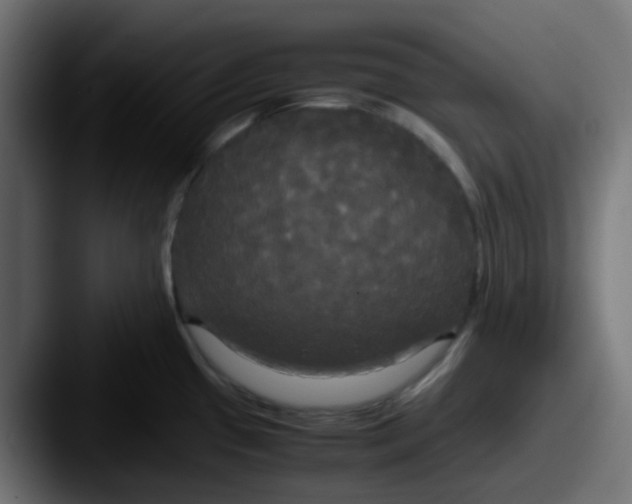 X0000087541433200705181040