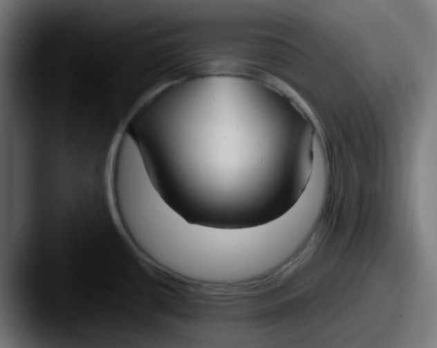 X0000087541434200705181040