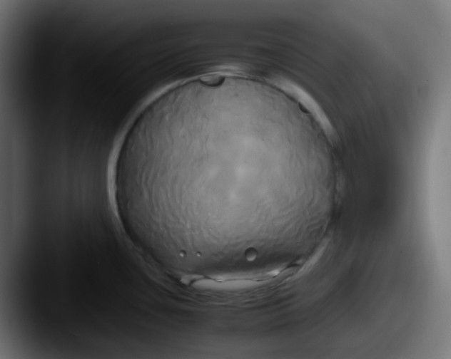 X0000087541435200705181040