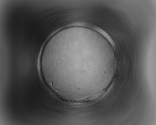 X0000087541436200705181040