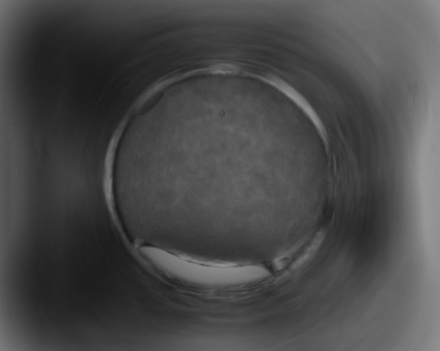 X0000087541437200705181040