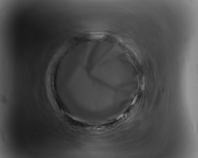 X0000087541441200705181040