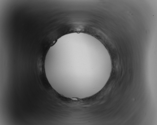 X0000087541442200705181040