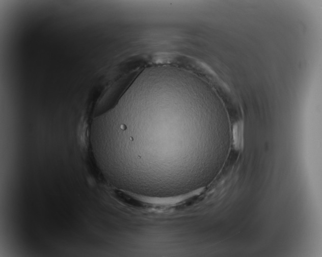 X0000087541443200705181040