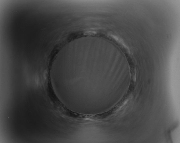 X0000087541445200705181040