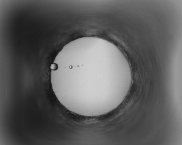 X0000087541447200705181040