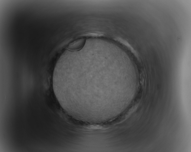 X0000087541448200705181040