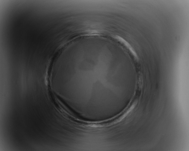 X0000087541449200705181040