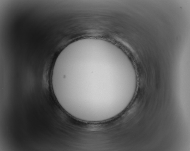 X0000087541451200705181040