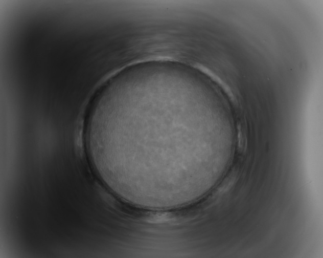 X0000087541452200705181040