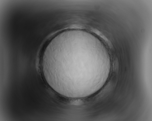 X0000087541454200705181040