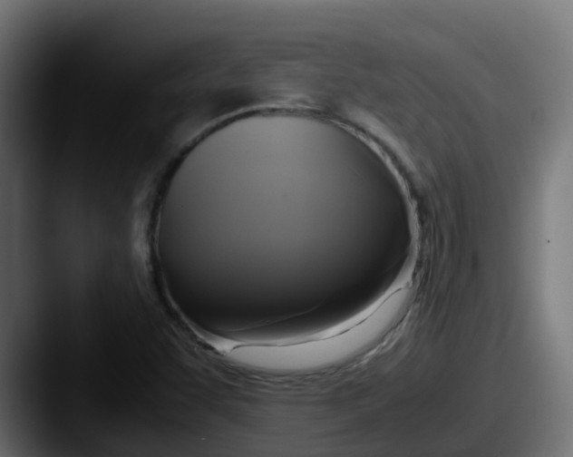 X0000087541455200705181040