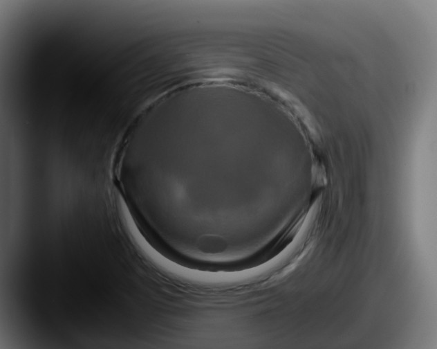 X0000087541457200705181040