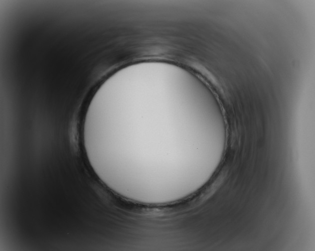 X0000087541458200705181040