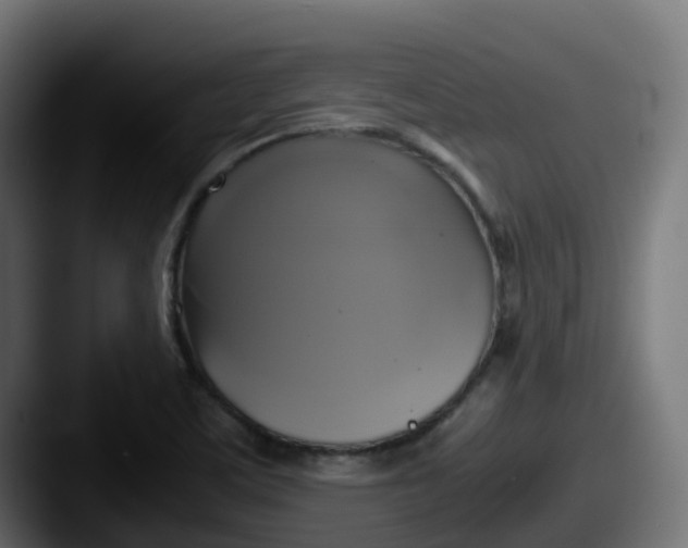 X0000087541459200705181040