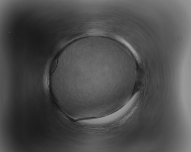 X0000087541461200705181040