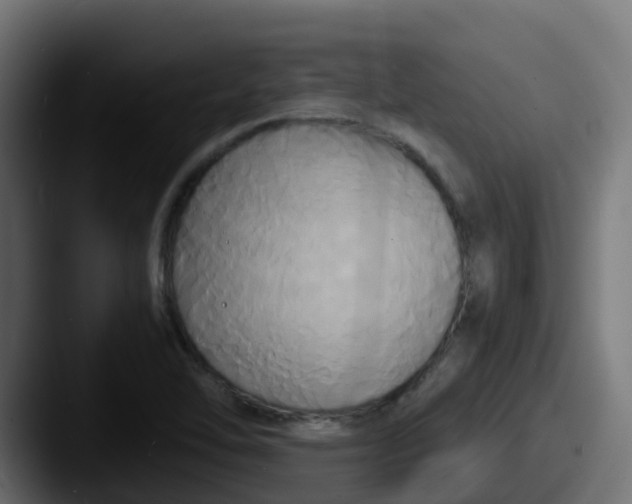 X0000087541462200705181040