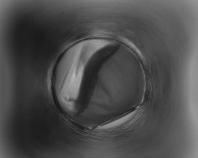 X0000087541463200705181040