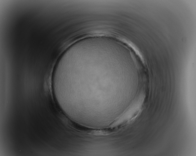 X0000087541465200705181040