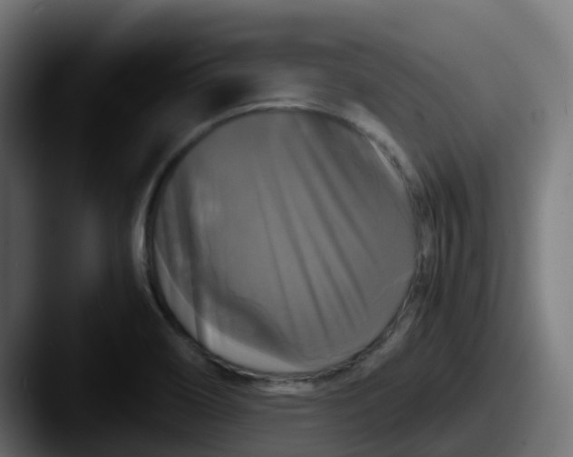 X0000087541466200705181040