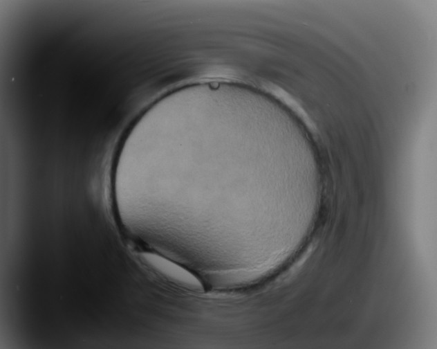 X0000087541469200705181040