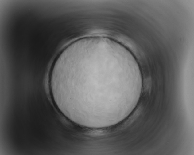 X0000087541470200705181040