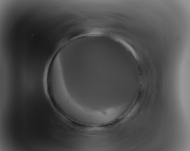 X0000087541475200705181039