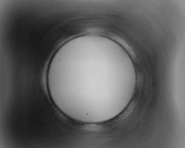 X0000087541478200705181039
