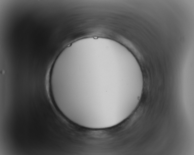 X0000087541479200705181039