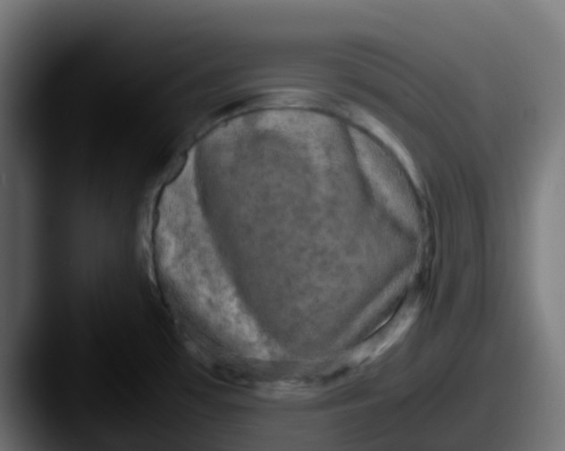 X0000087541481200705181039