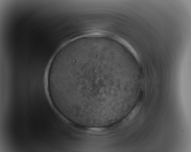 X0000087541483200705181039