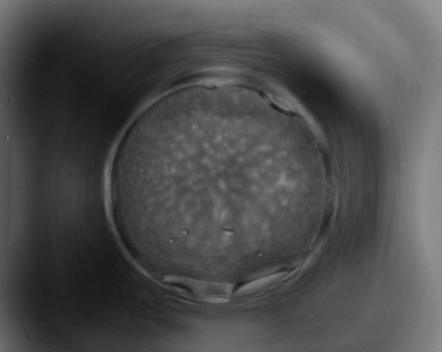 X0000087541487200705181039