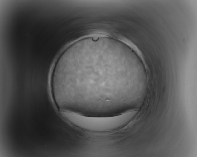 X0000087541488200705181039