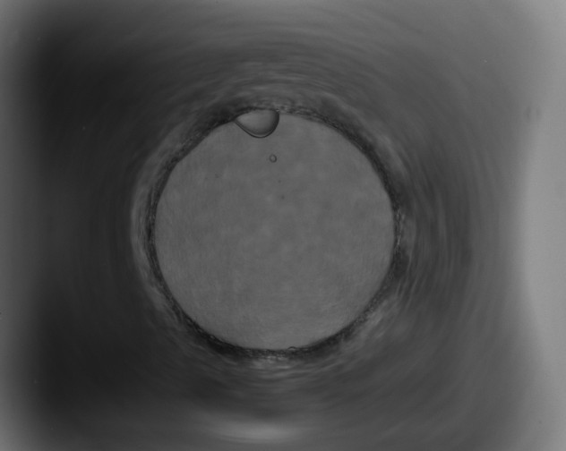 X0000087541489200705181039