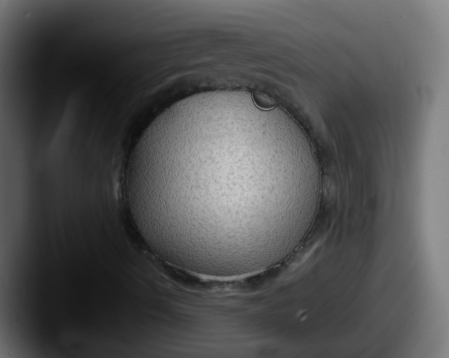 X0000087541490200705181039