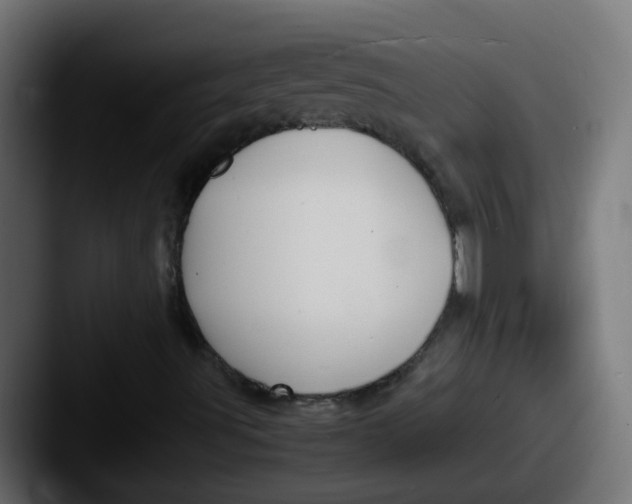 X0000087541491200705181039