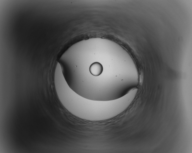 X0000087541492200705181039