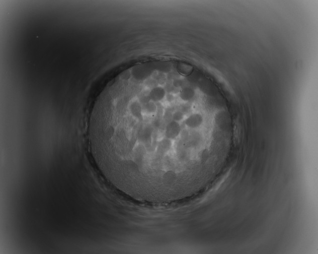 X0000087541494200705181039