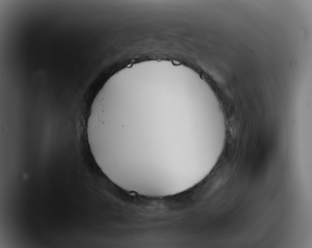 X0000087541495200705181039