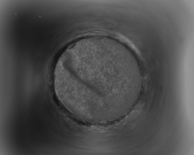 X0000087541496200705181039