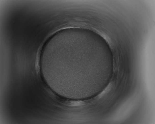 X0000087541498200705181039