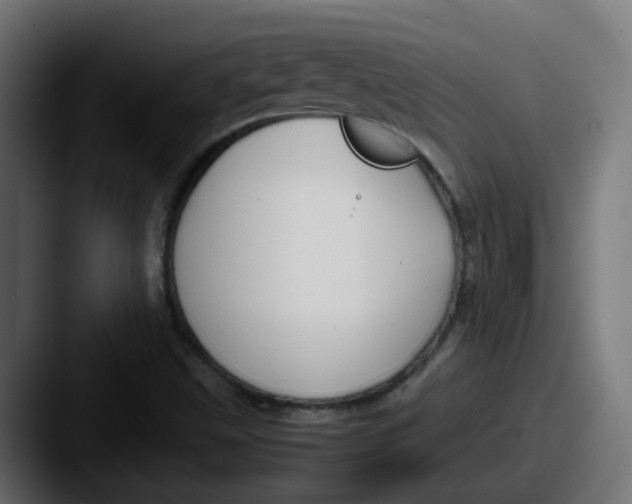 X0000087541499200705181039