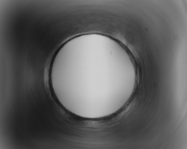 X0000087541500200705181039