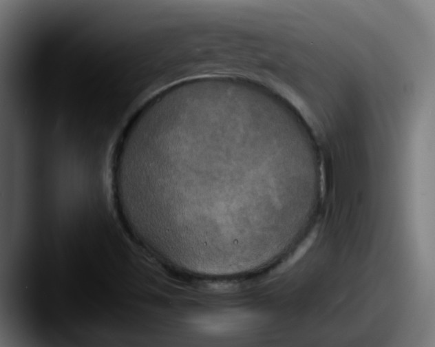 X0000087541501200705181039
