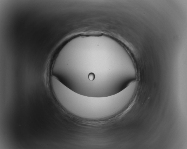 X0000087541502200705181039