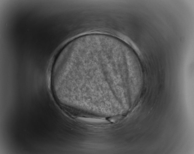 X0000087541504200705181039