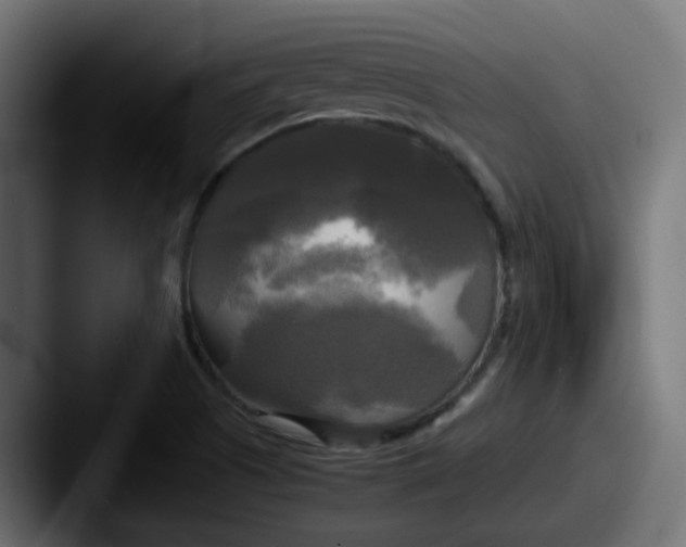 X0000087541505200705181039