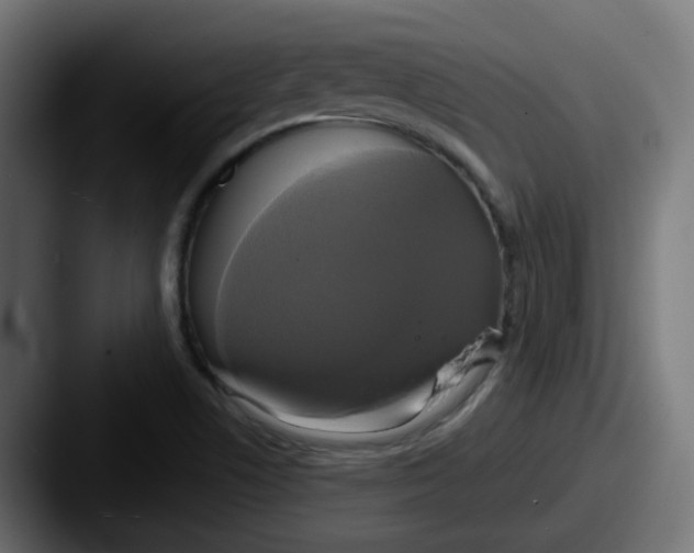 X0000087541506200705181039
